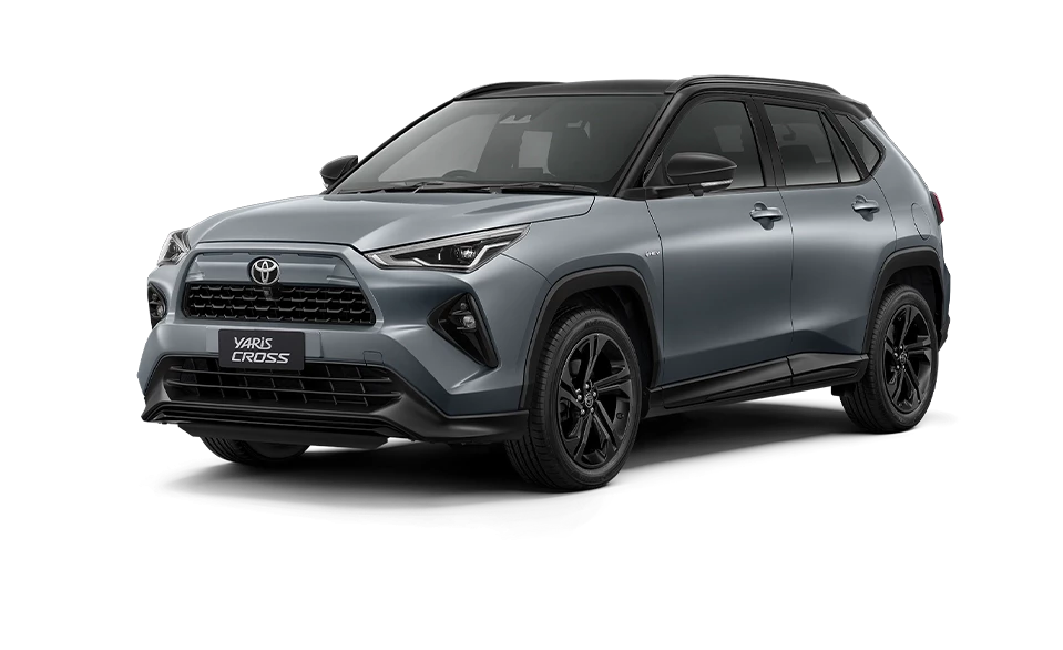 Cement Gray Metallic / Black Roof